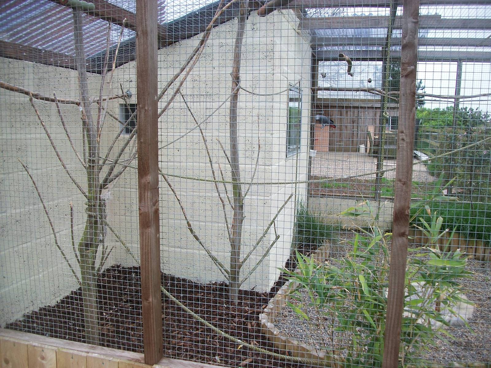 African Parrots Aviary, 1st May 2014