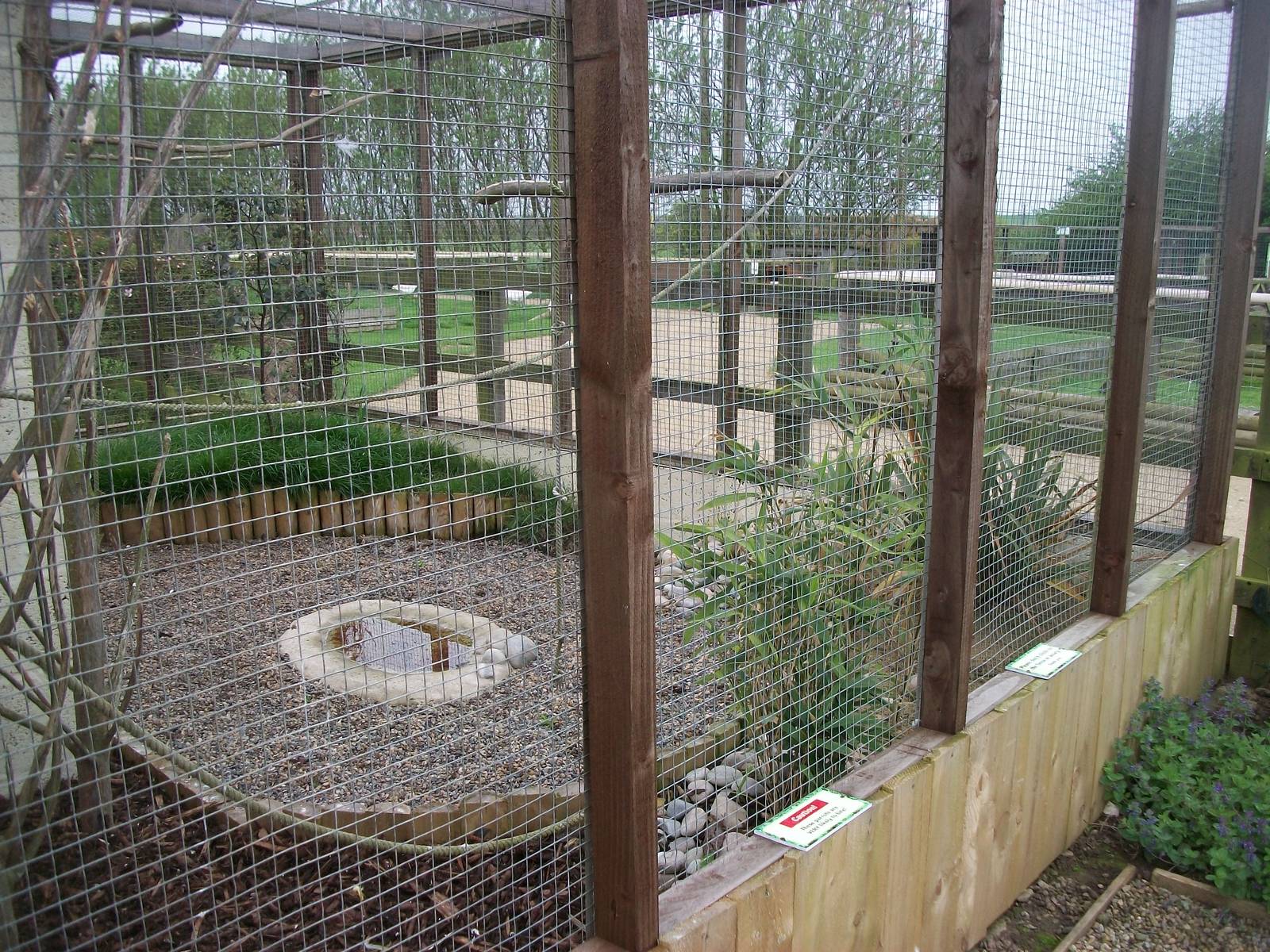 African Parrots Aviary, 1st May 2014