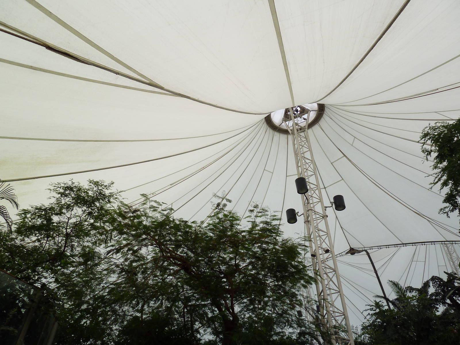African Pavilion - Roof