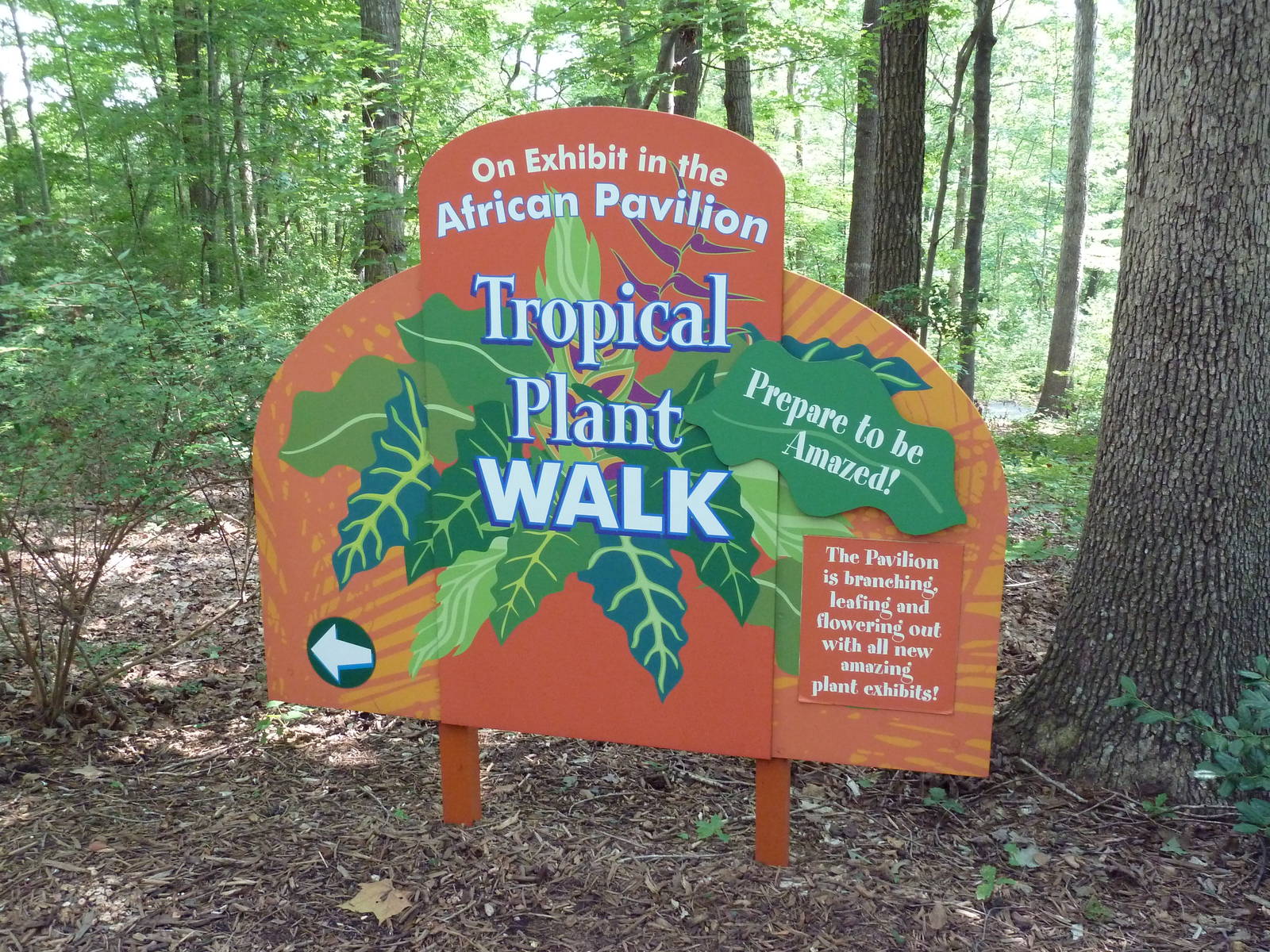African Pavilion - Sign