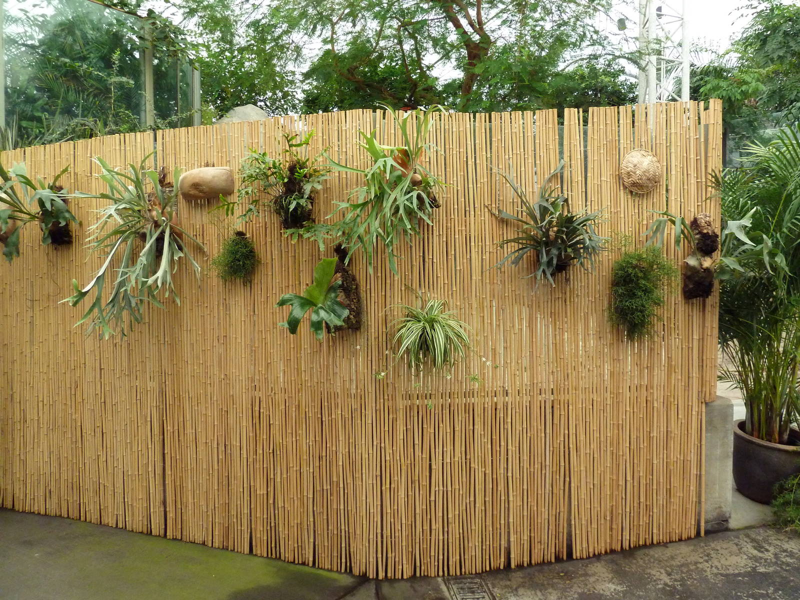 African Pavilion - Tropical Plants But Zero Animals