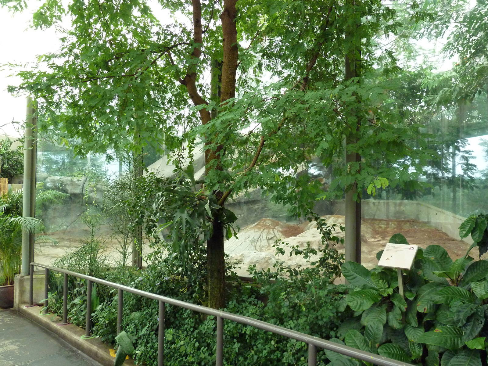 African Pavilion - Tropical Plants But Zero Animals