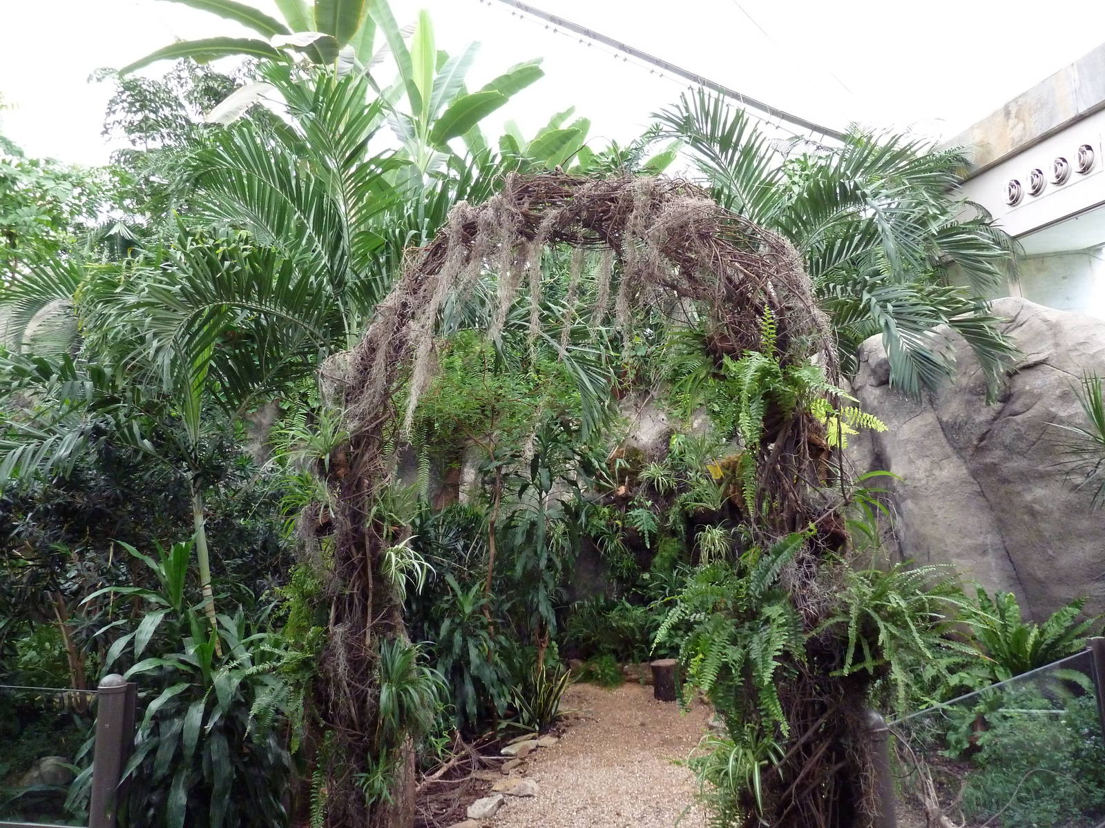 African Pavilion - Tropical Plants But Zero Animals