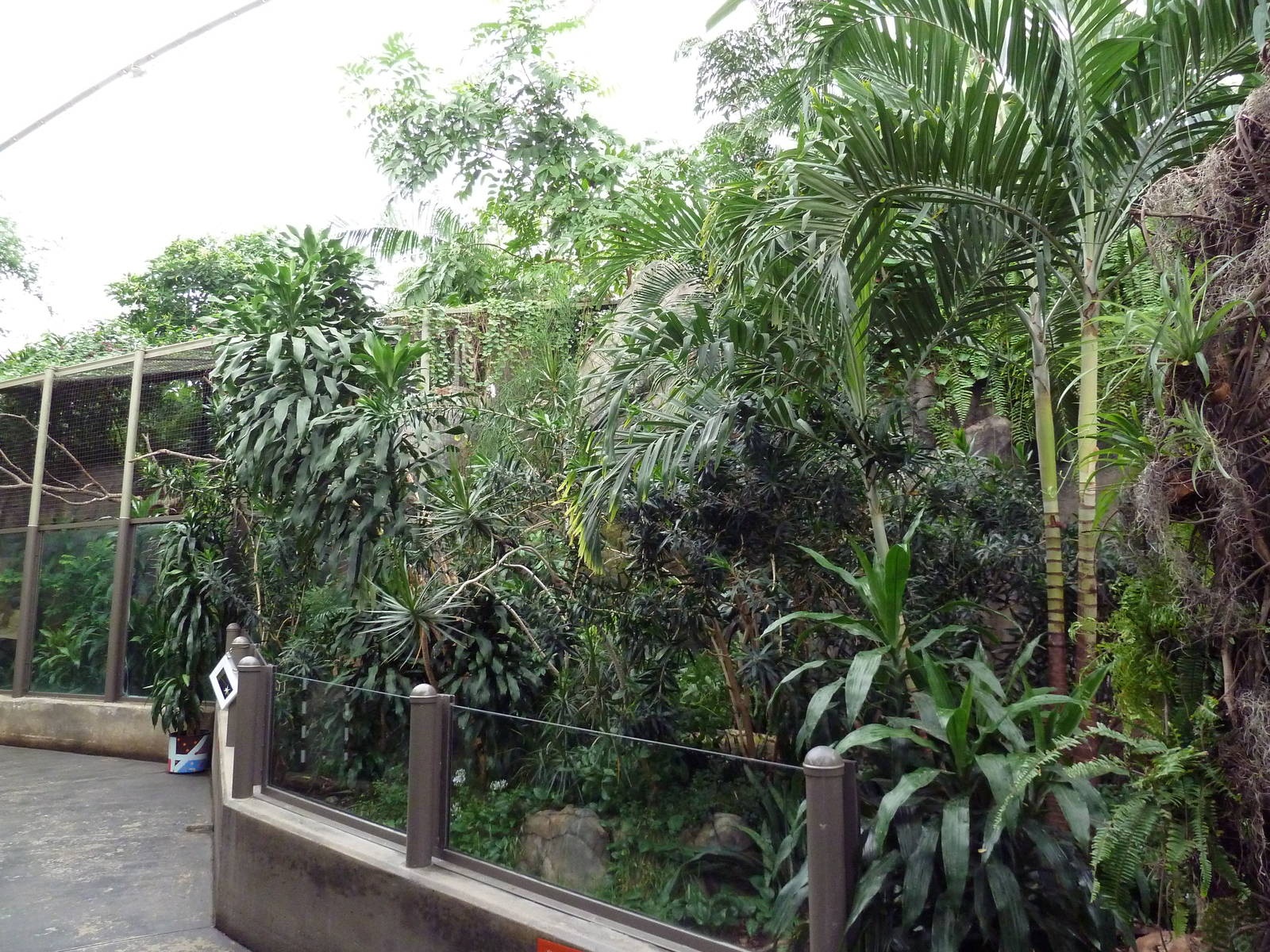 African Pavilion - Tropical Plants But Zero Animals