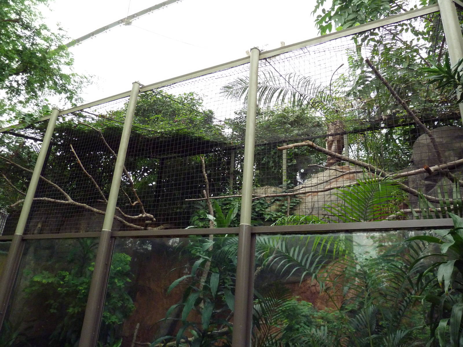 African Pavilion - Tropical Plants But Zero Animals