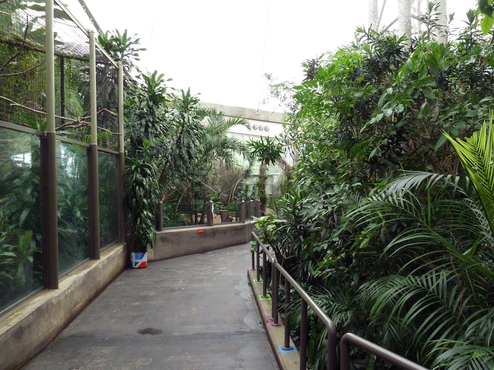 African Pavilion - Tropical Plants But Zero Animals