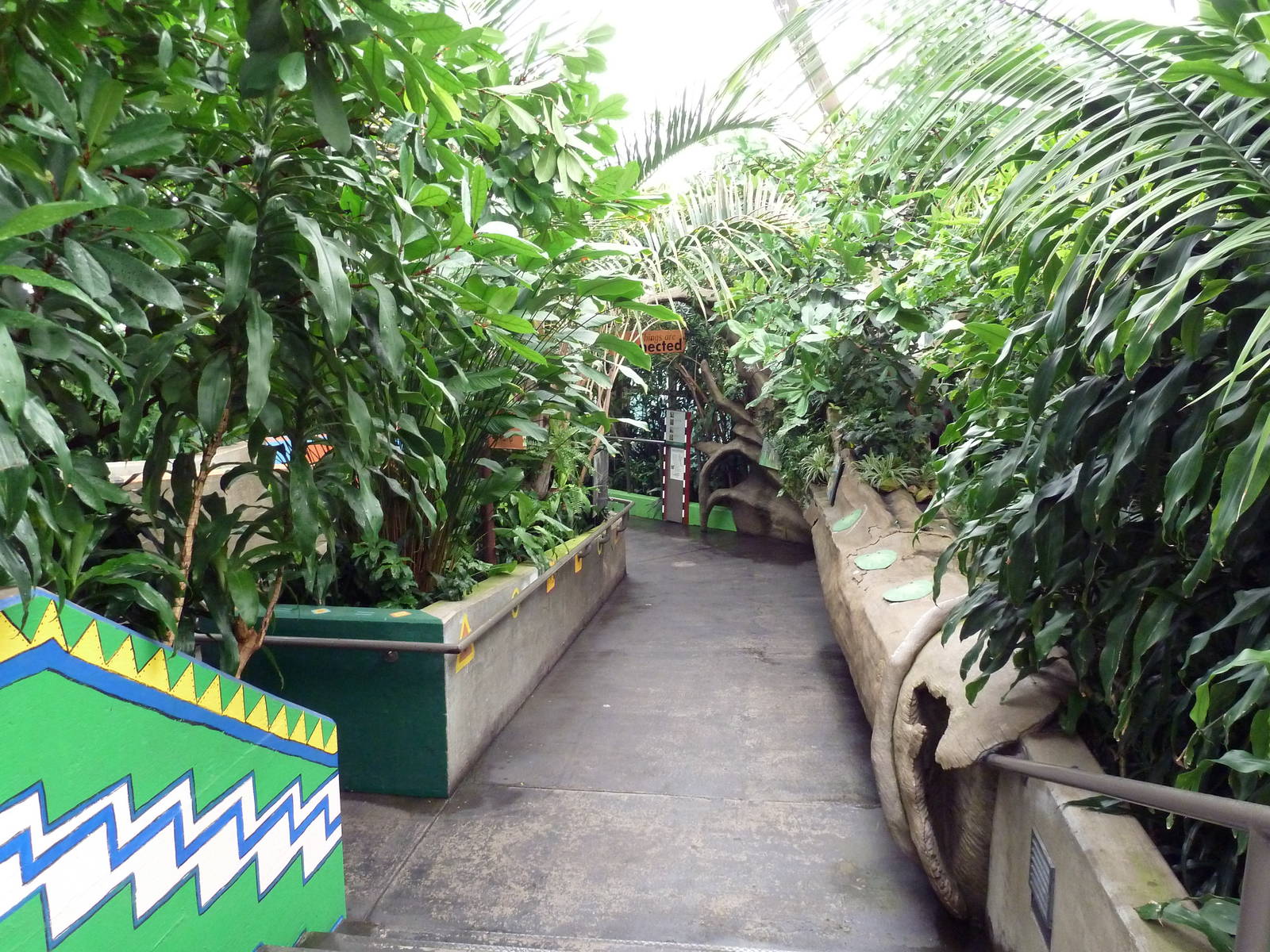 African Pavilion - Tropical Plants But Zero Animals