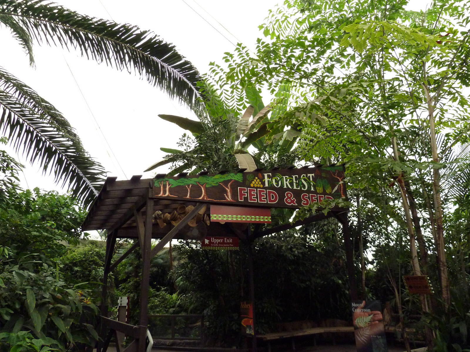 African Pavilion - Tropical Plants But Zero Animals