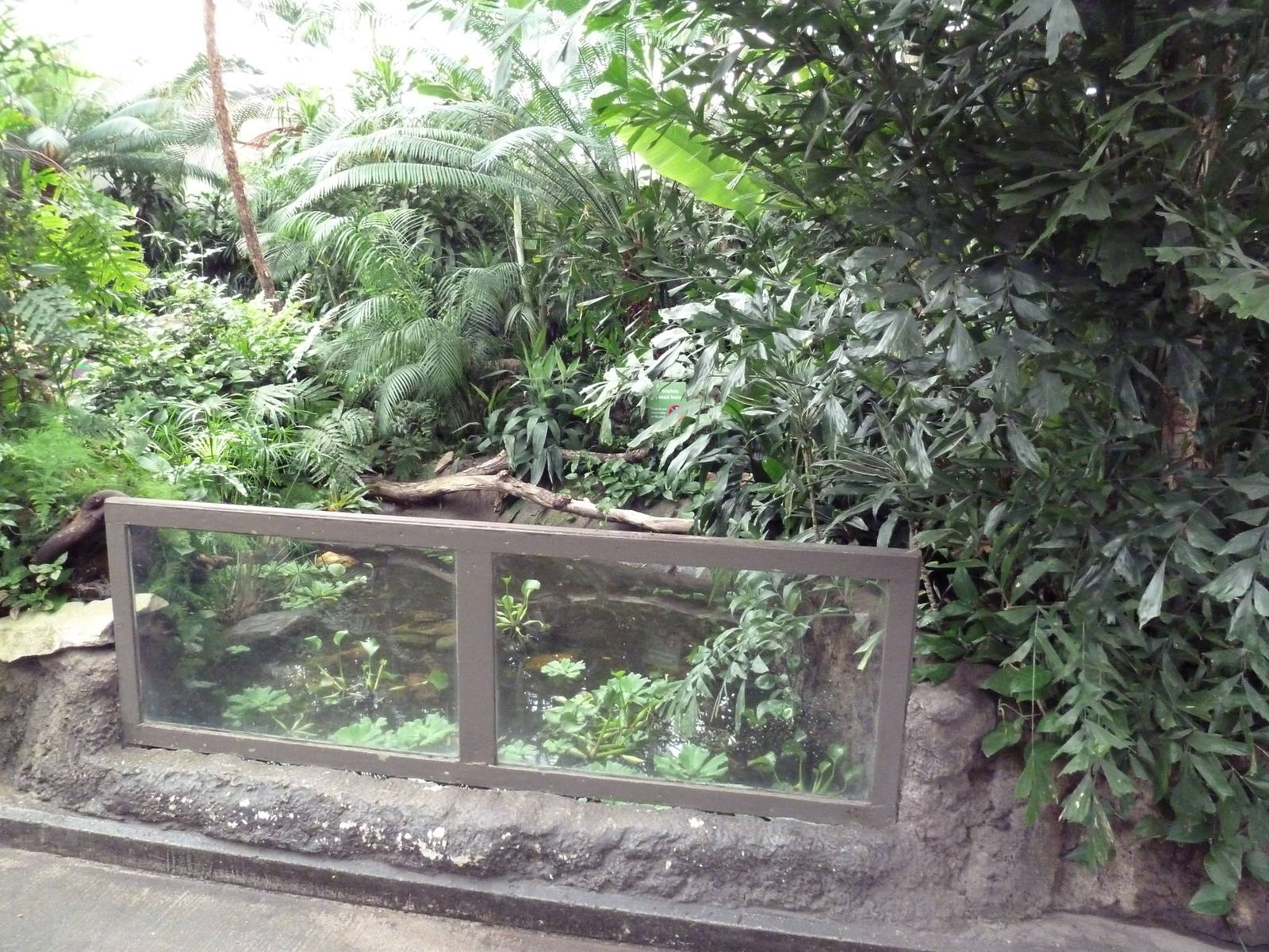 African Pavilion - Tropical Plants But Zero Animals