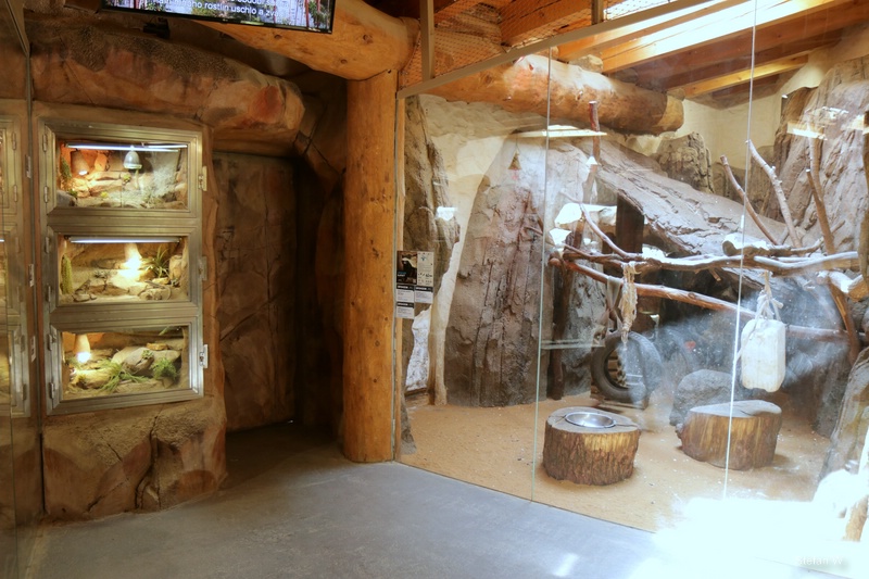 African Pavillon - Reptiles and honey badgers