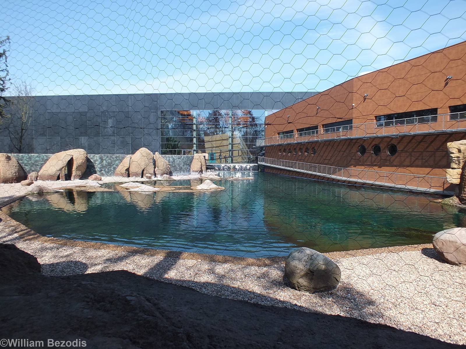African Penguin and Cape Shelduck Enclosure- Outdoor part of Afrykarium