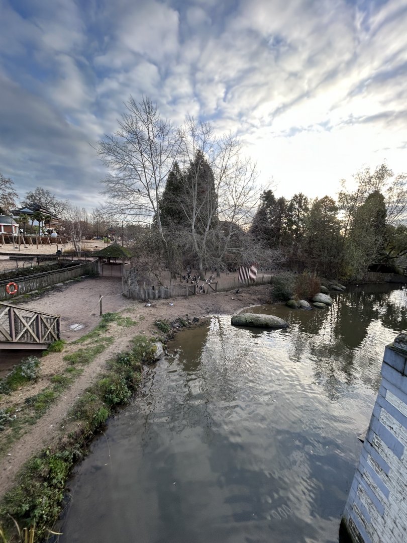 African penguin and common seal walkthrough exhibit