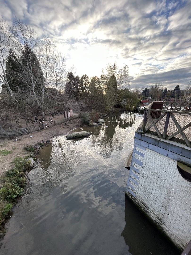 African penguin and common seal walkthrough exhibit