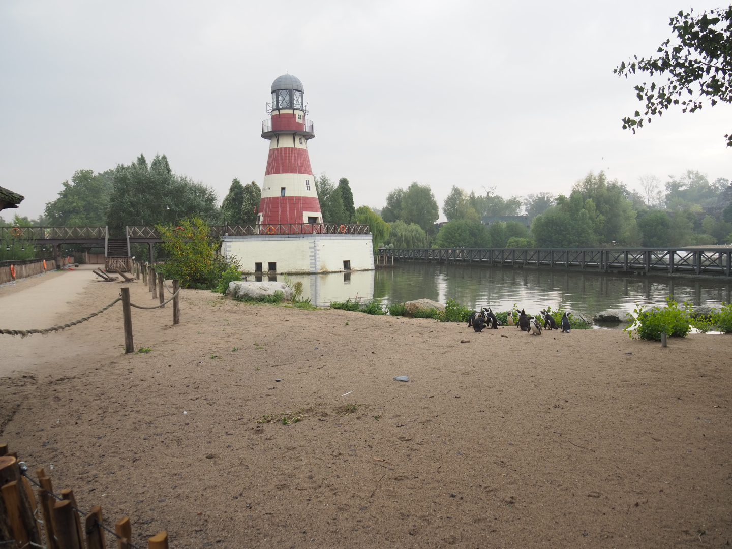 African penguin and Harbor seal area with beach, lake, lighthouse, train bridge and walkways, 2022-09-15