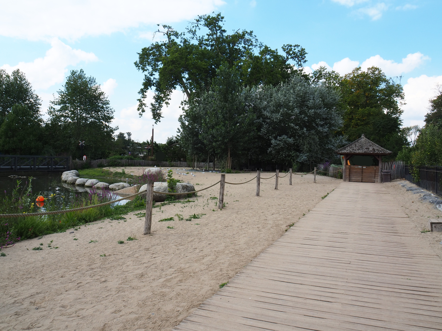 African penguin and Harbor seal walk-through area, 2020-09-02