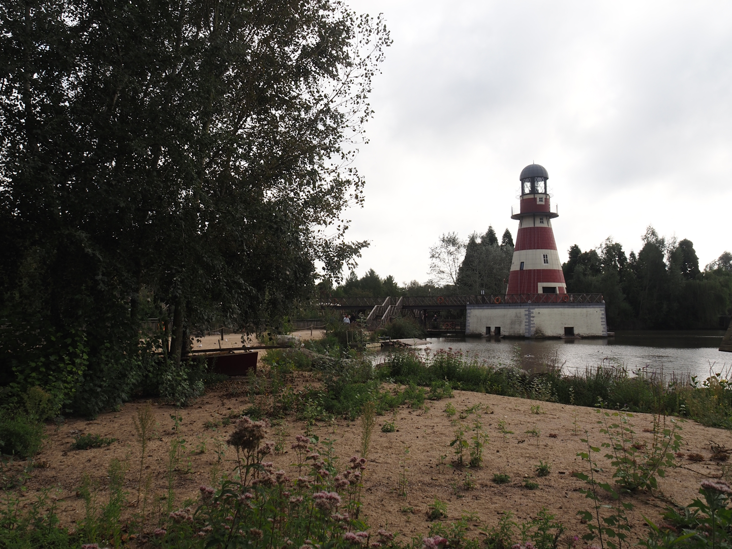 African penguin beach and lighthouse in the African penguin and Eastern Atlantic harbor seal exhibi, 2024-09-17
