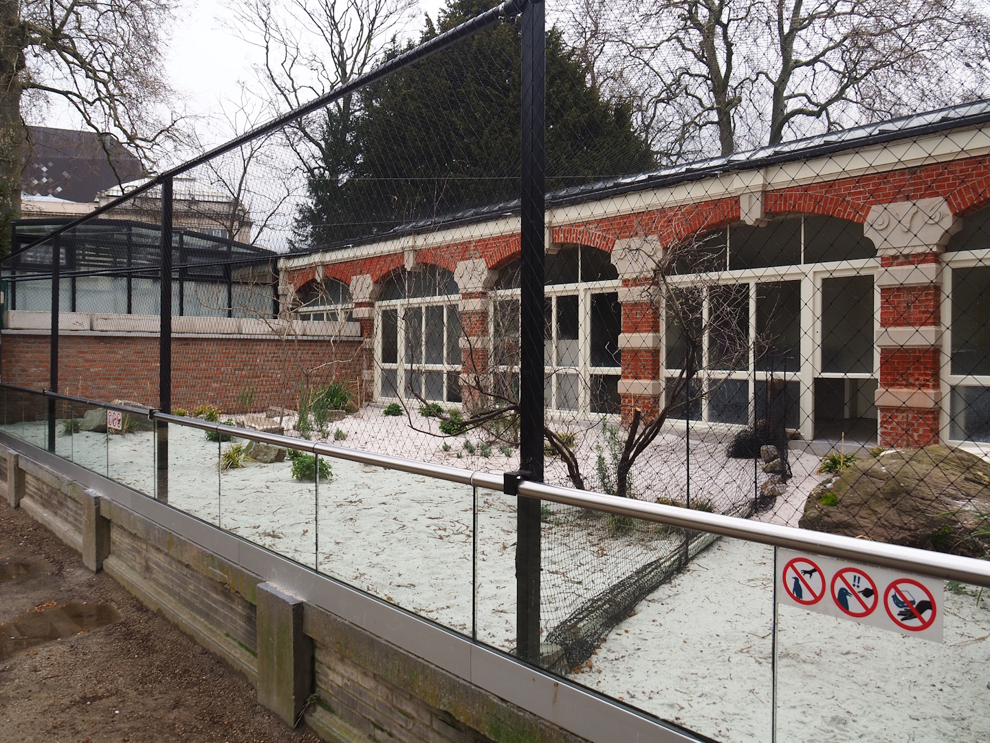 African penguin beach area next to Rotunda building (During renovation of beach and nest boxes), 2023-04-08