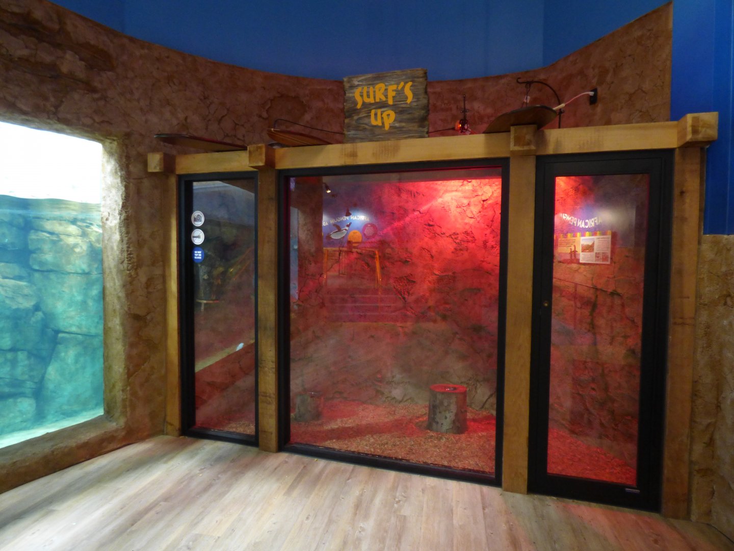 African Penguin Building (Bushbaby Exhibit) - Sept. 2018