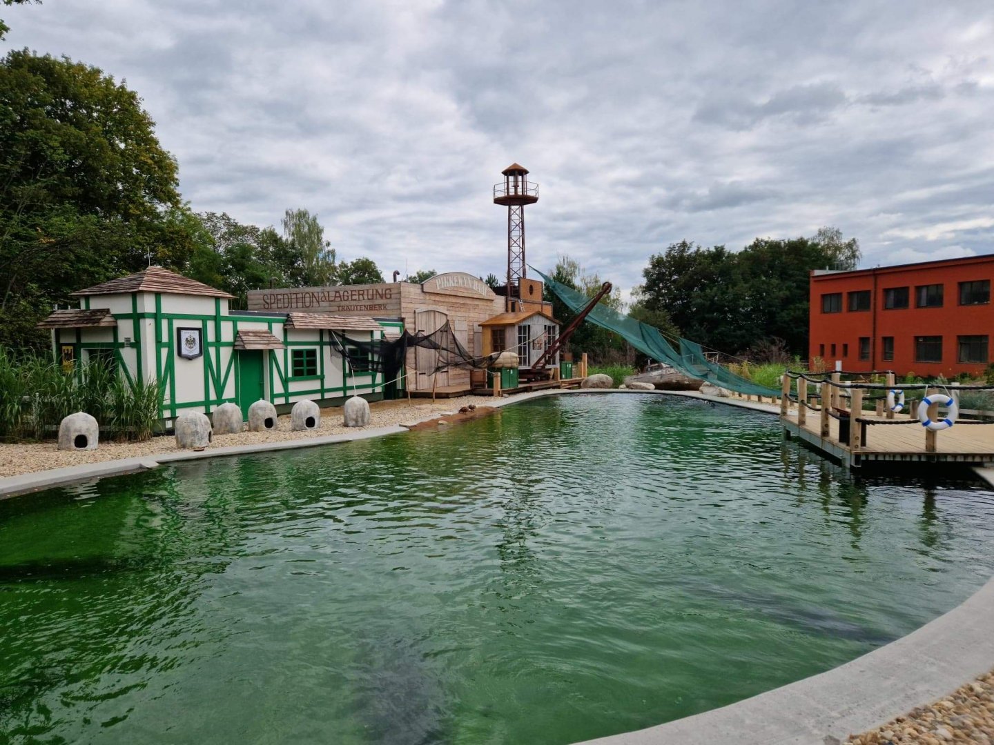 African Penguin Coast