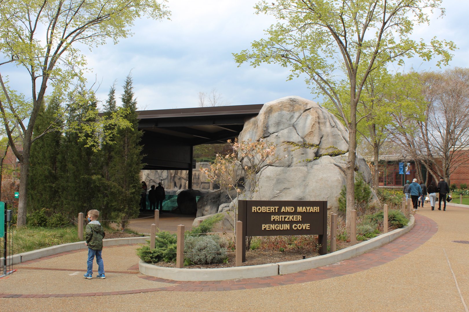 African Penguin Cove