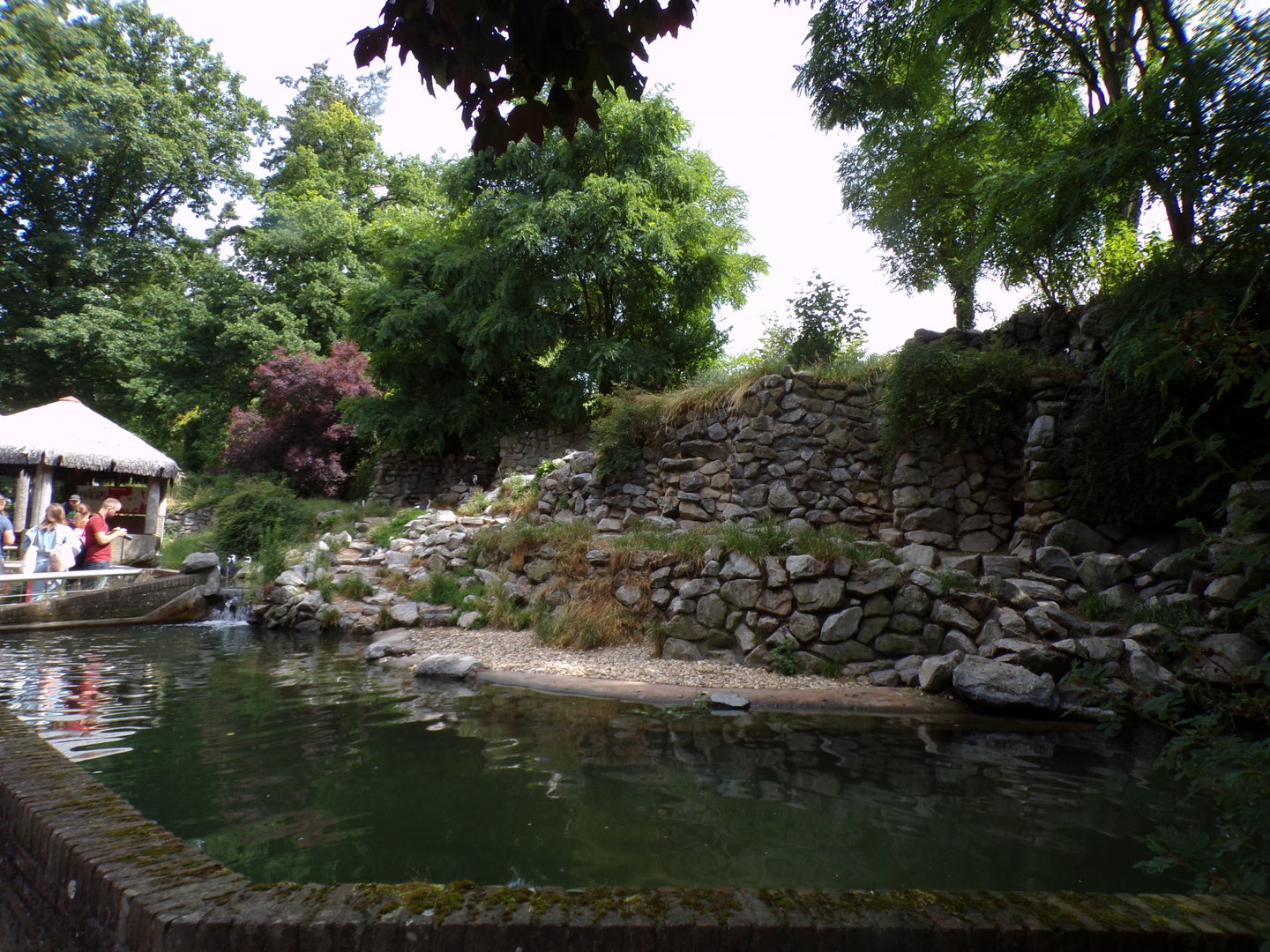 African penguin enclosure 6.7.23