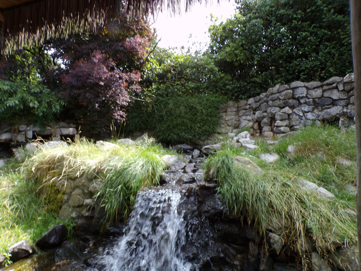 African penguin enclosure 6.7.23