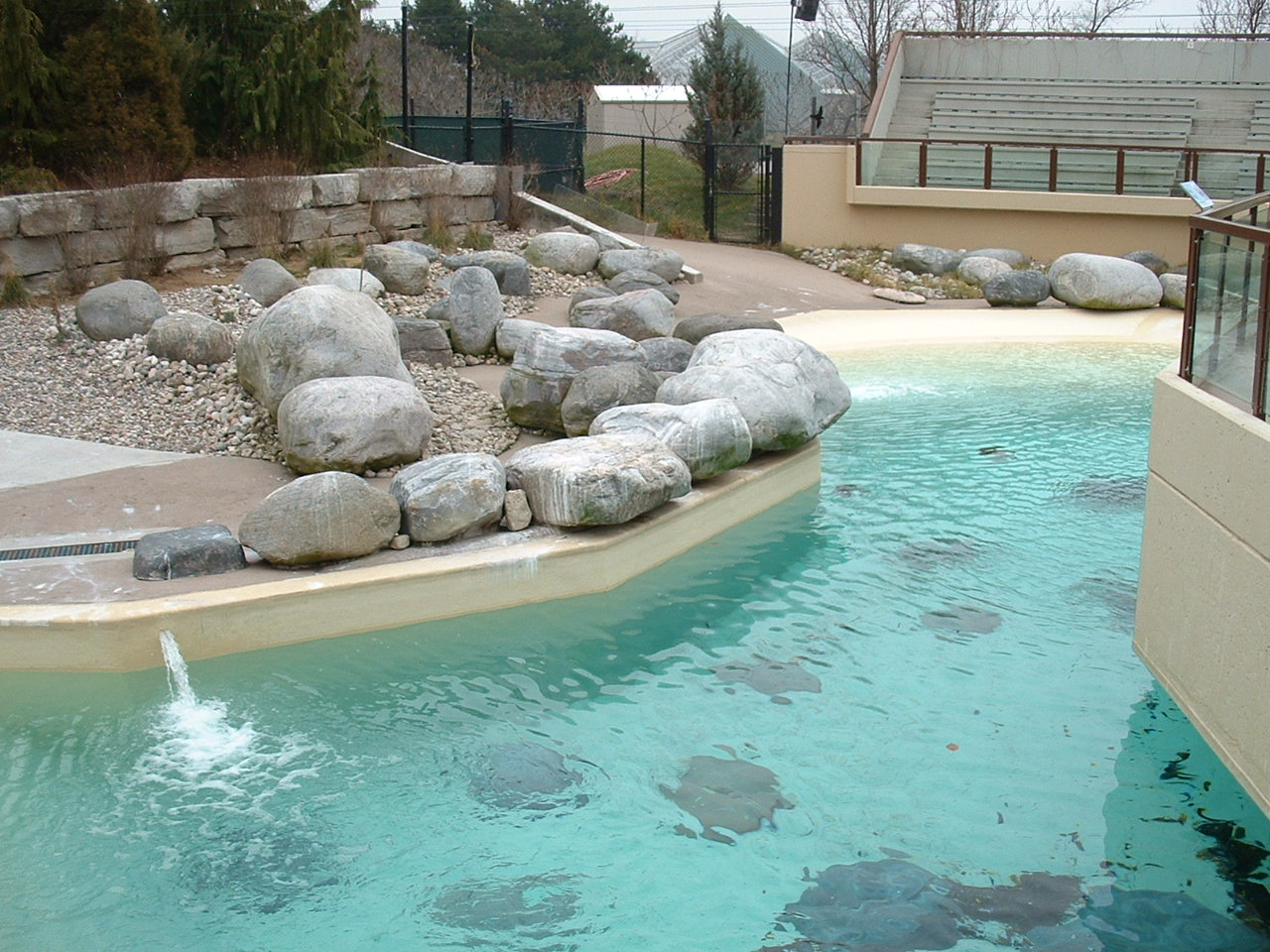 African Penguin Enclosure - Nov 2012