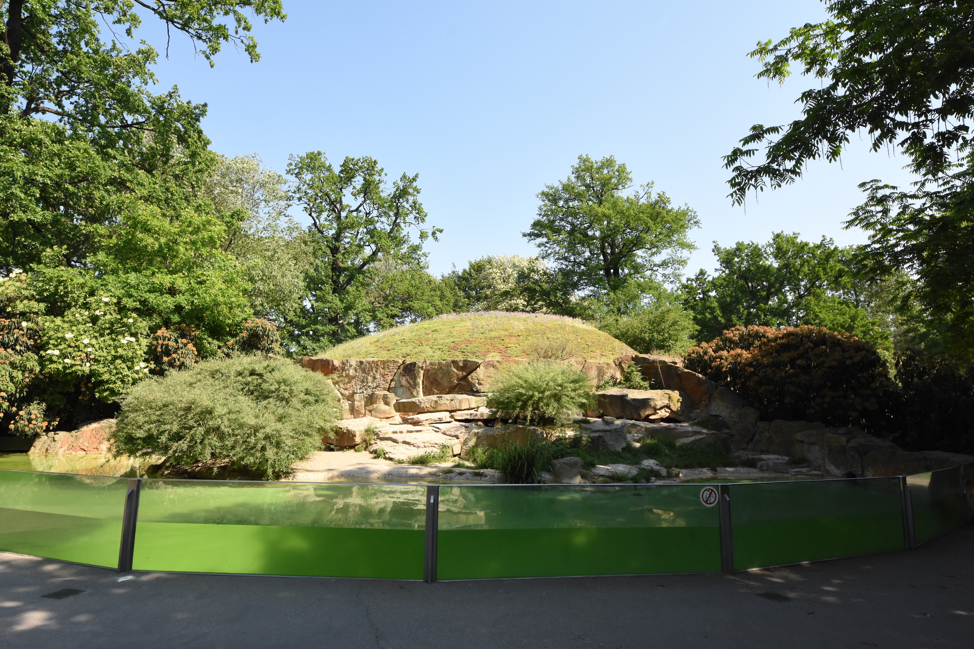 African penguin enclosure