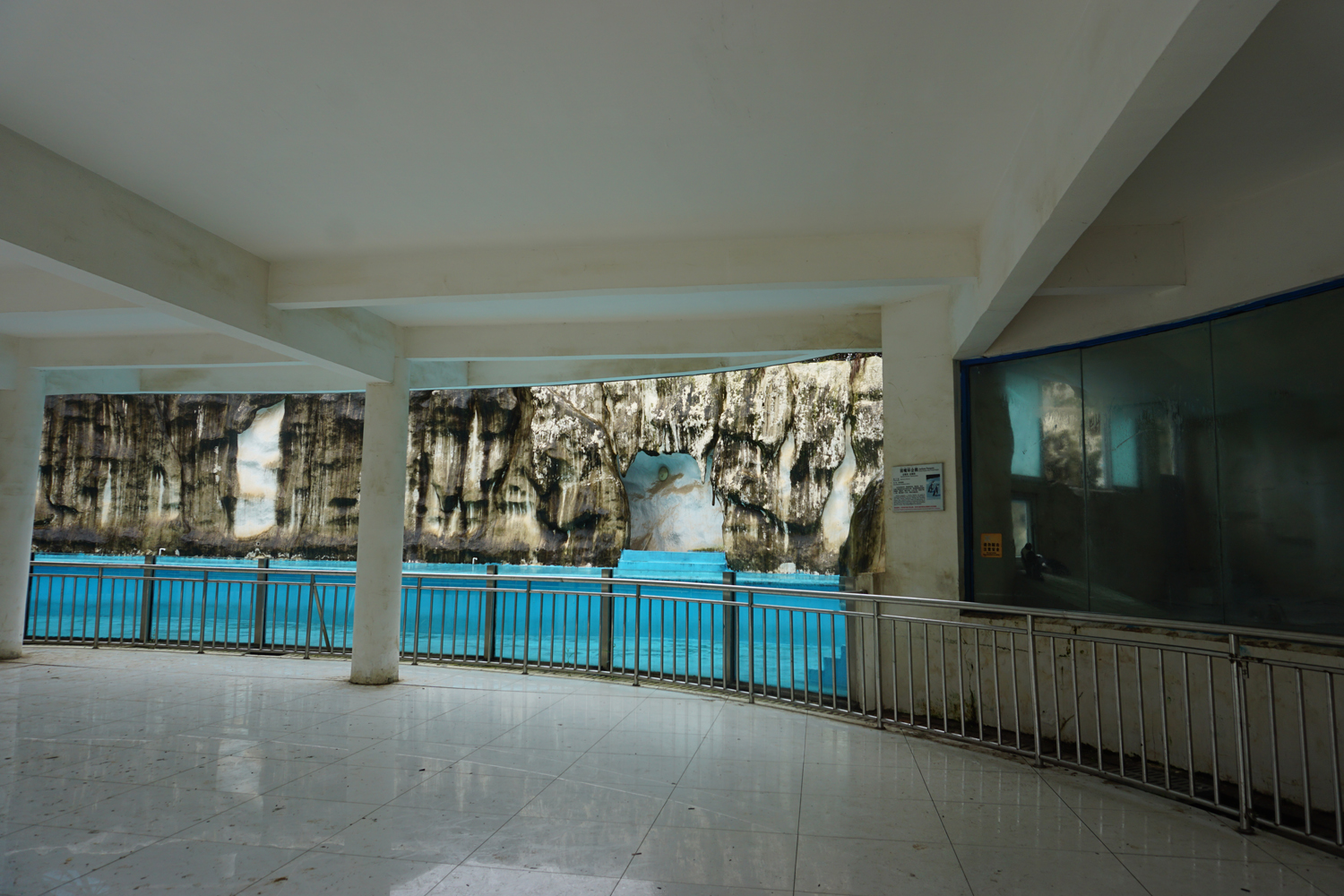 African penguin enclosure