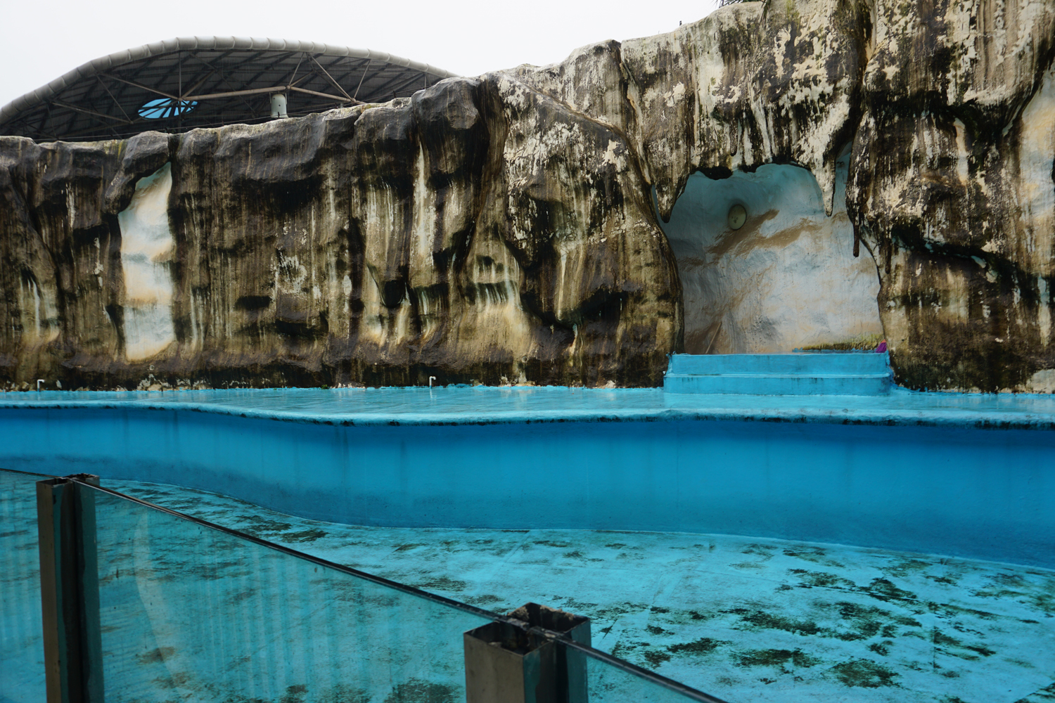 African penguin enclosure