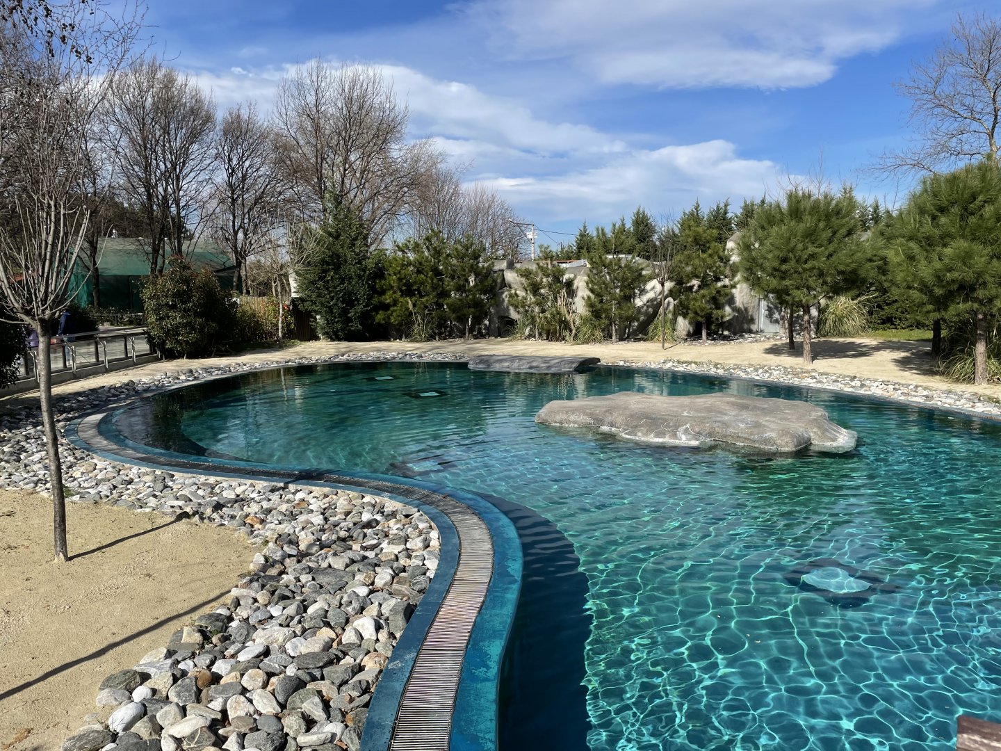 African penguin enclosure