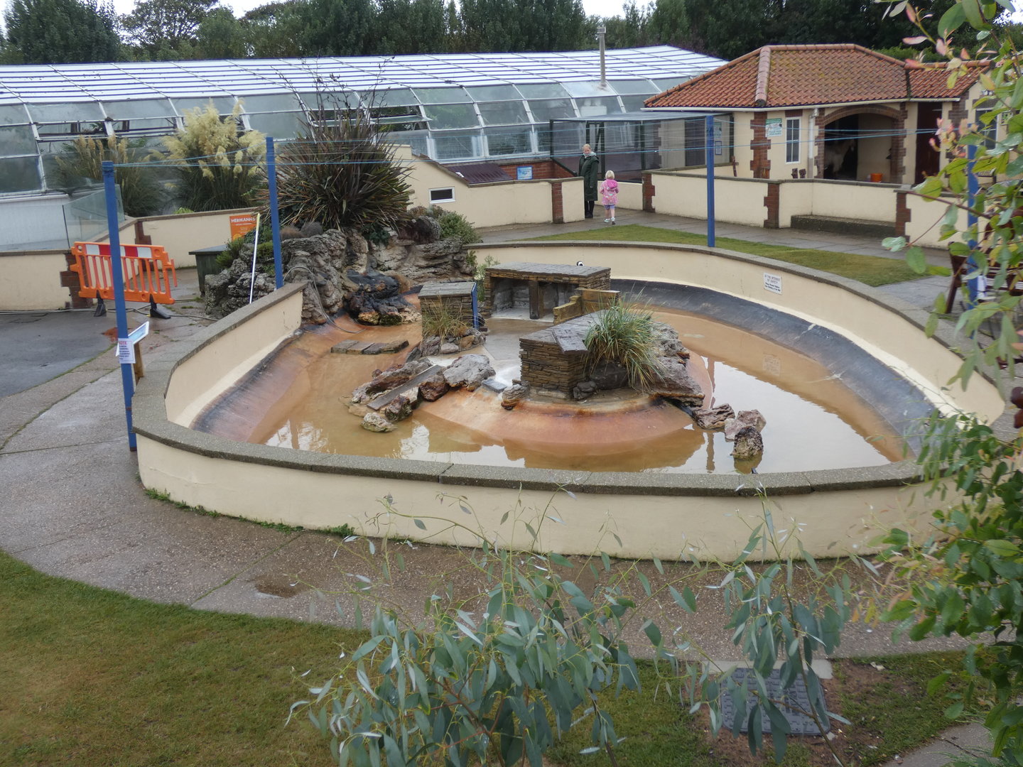 African penguin enclosure