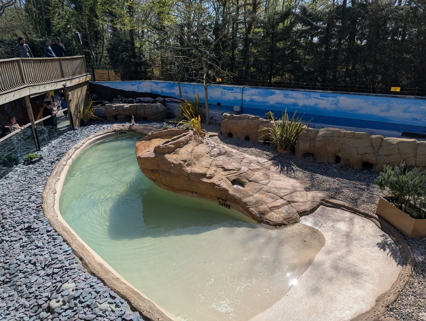 African Penguin Enclosure