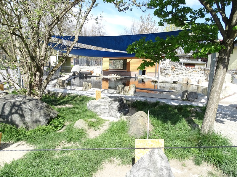 African penguin enclosure