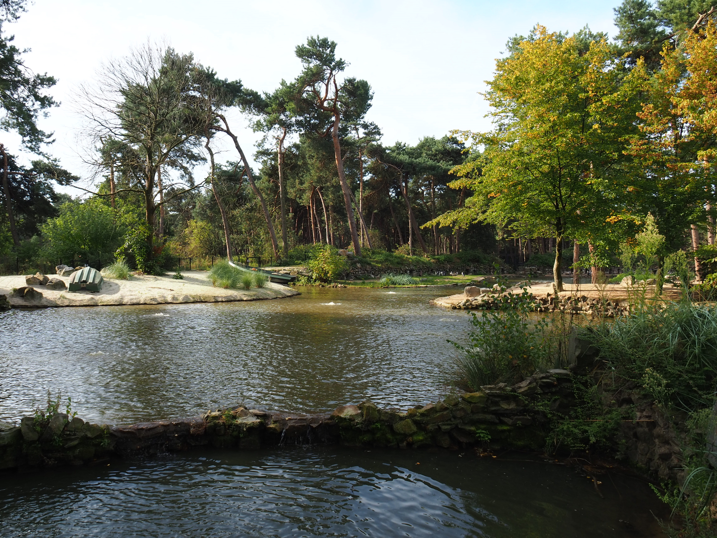 African penguin exhibit, 2019-09-15