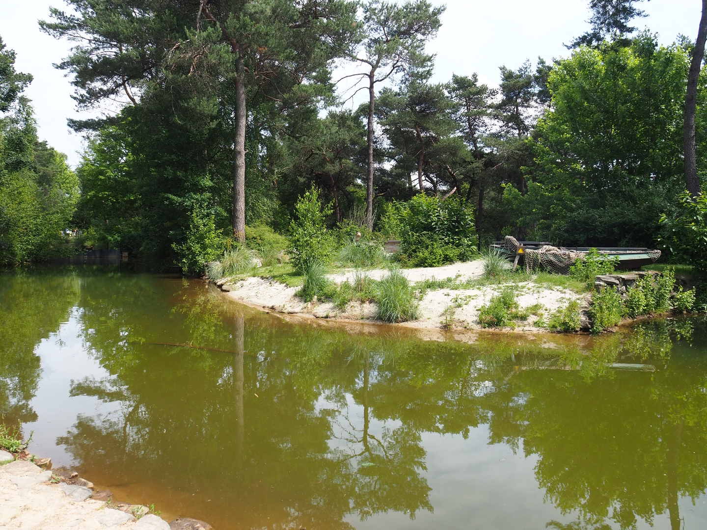 African penguin exhibit, 2022-06-12