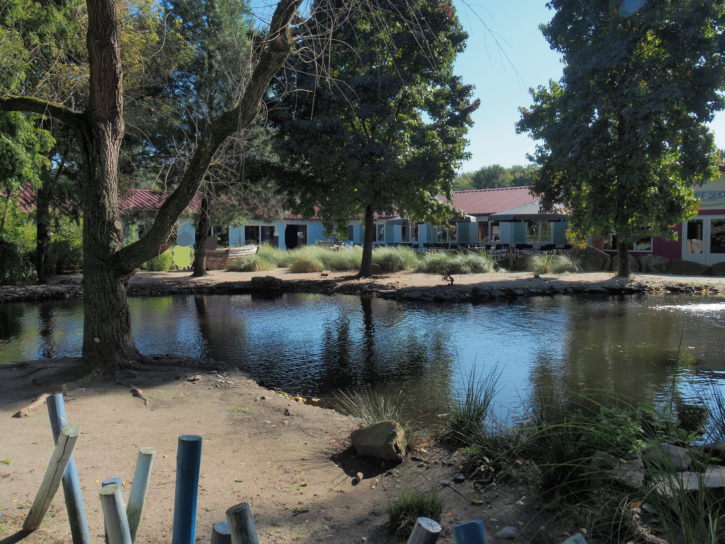African penguin exhibit, 2022-10-09
