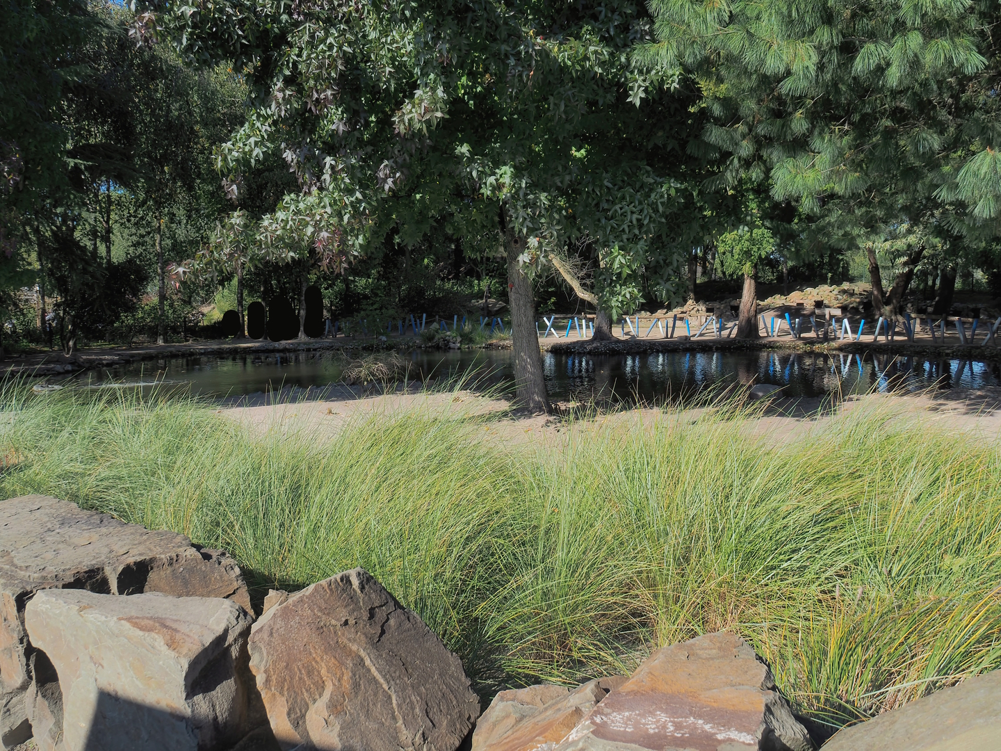 African penguin exhibit, 2022-10-09