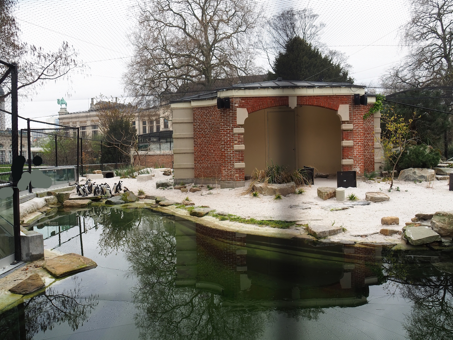 African penguin exhibit, 2023-04-08