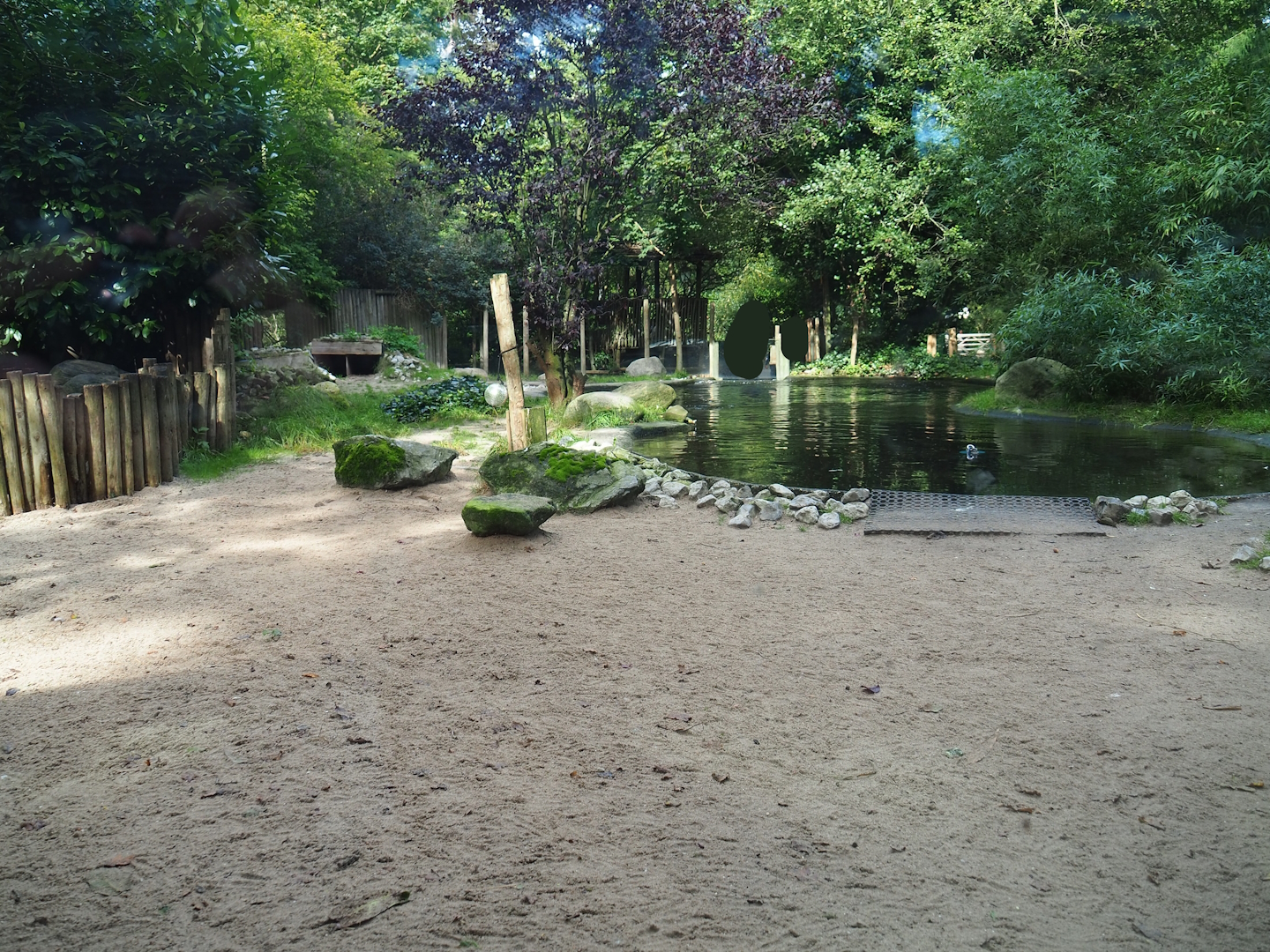 African penguin exhibit, 2023-09-24