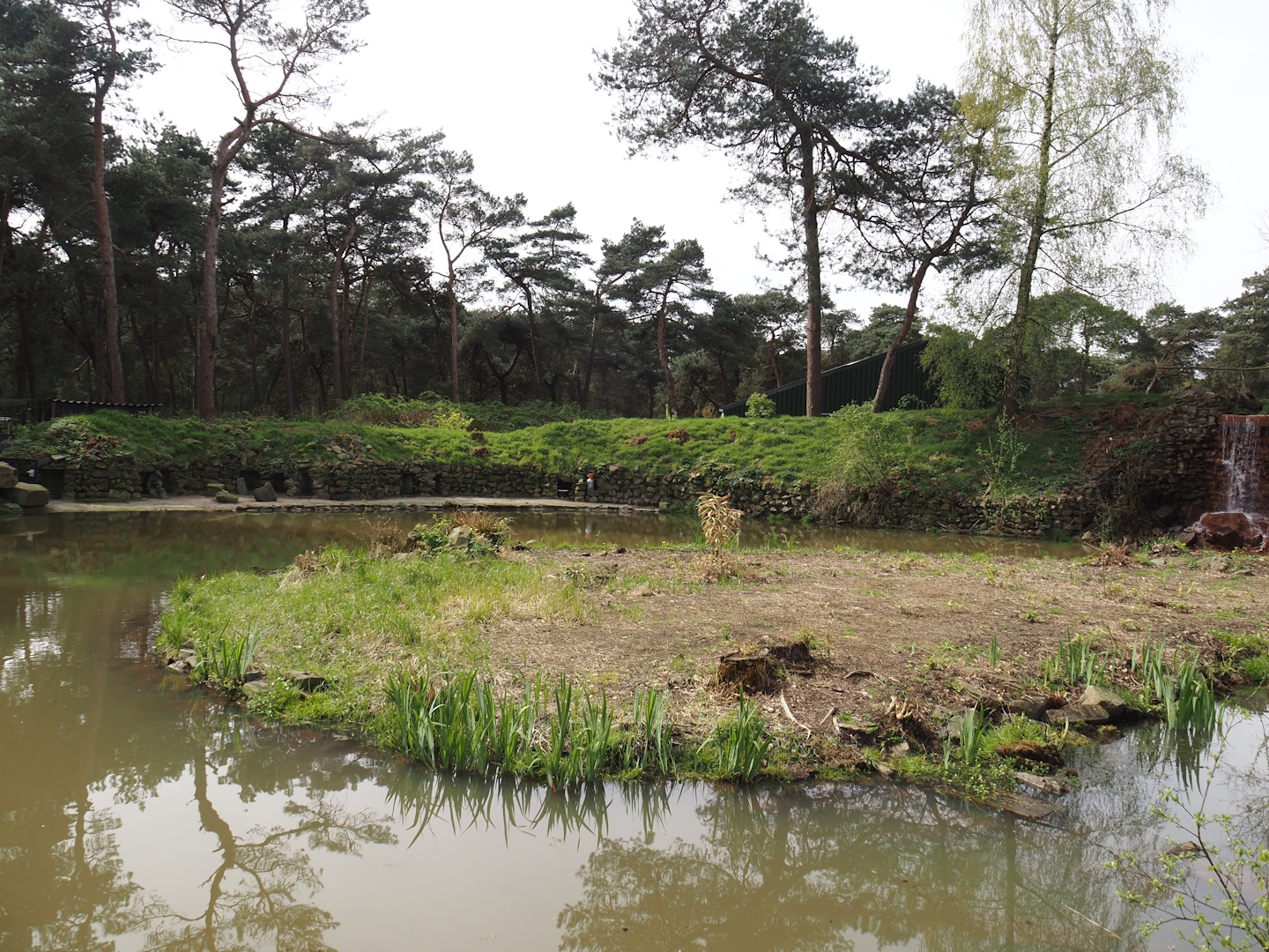African penguin exhibit, 2024-04-06