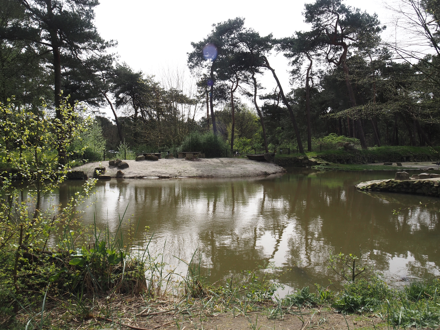 African penguin exhibit, 2024-04-06