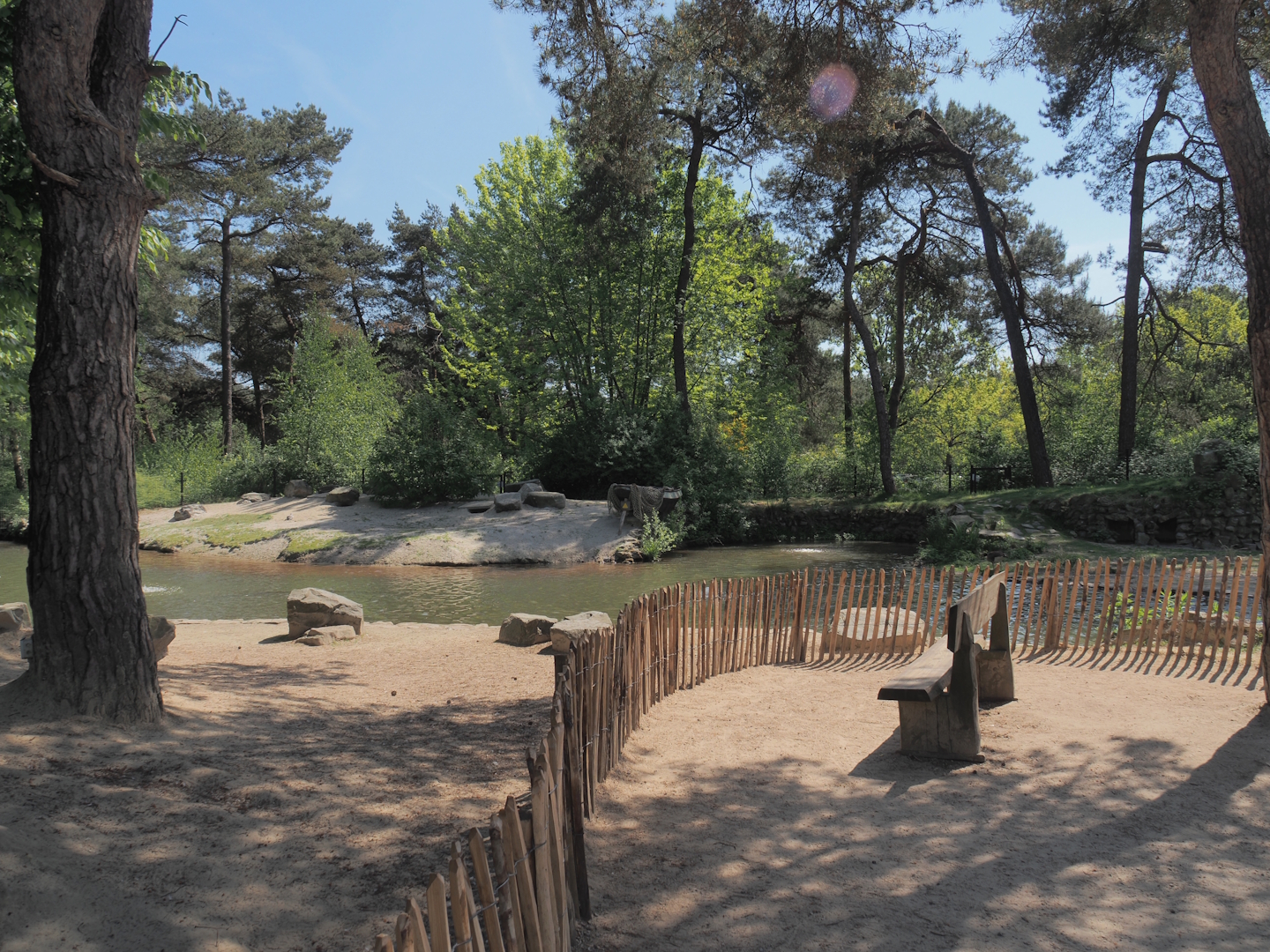 African penguin exhibit, 2025-04-30