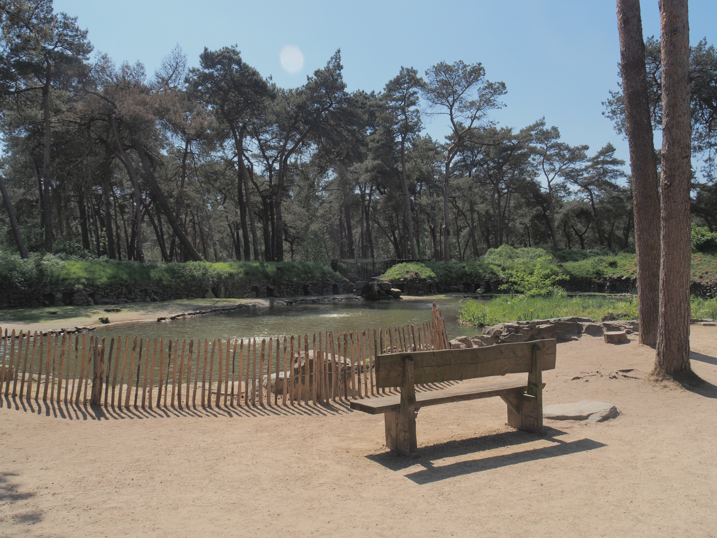 African penguin exhibit, 2025-04-30