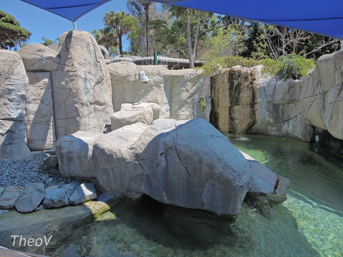 African penguin exhibit - Discovery Outpost [2015]