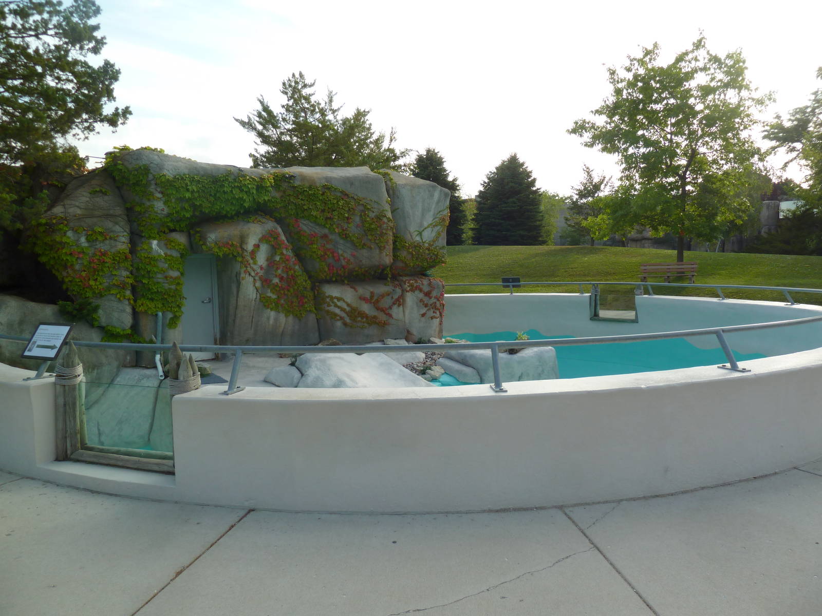 African Penguin Exhibit (drained of water)