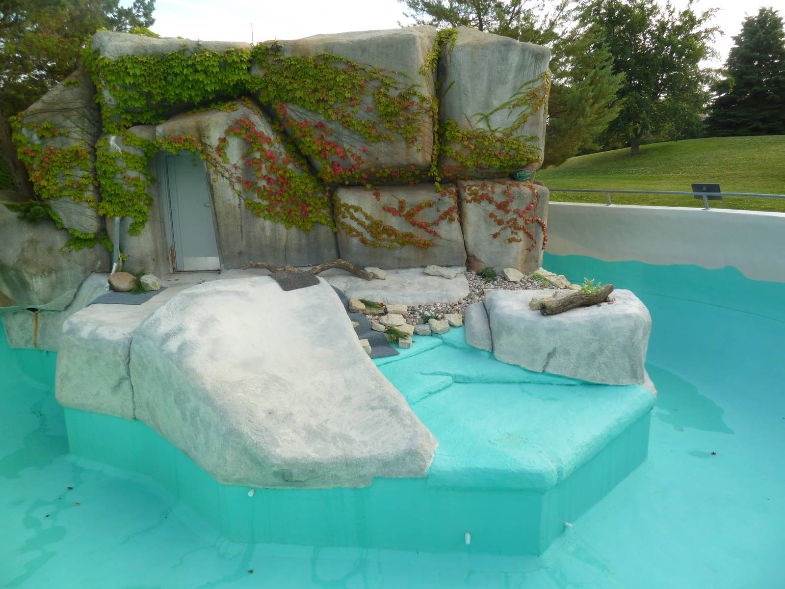 African Penguin Exhibit (drained of water)