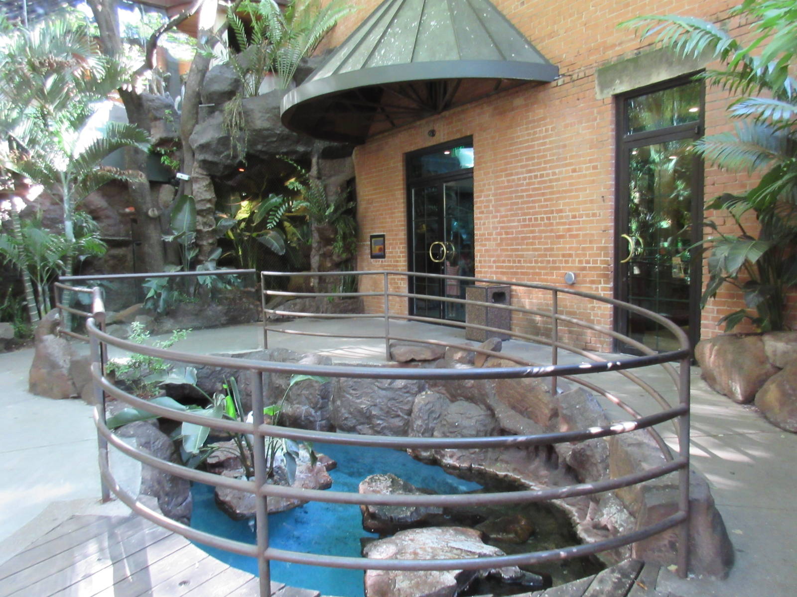 African Penguin Exhibit (half of it)