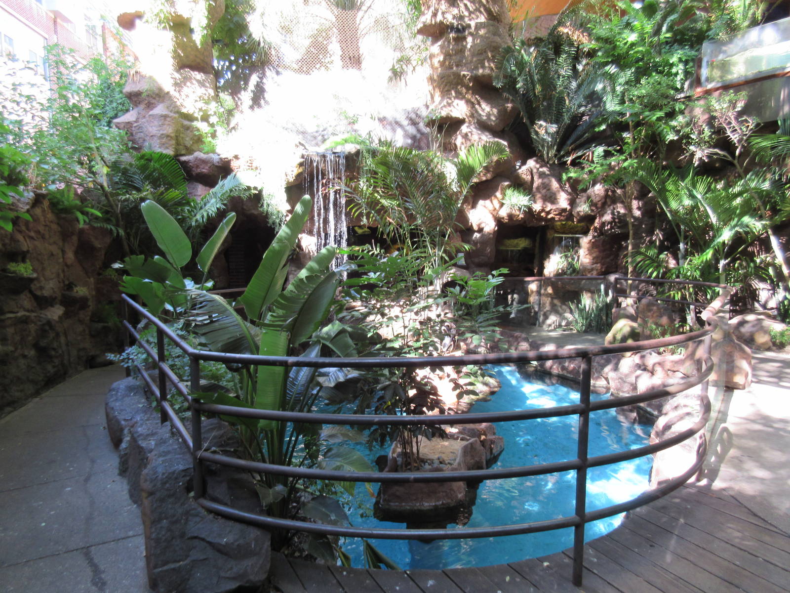 African Penguin Exhibit (half of it)