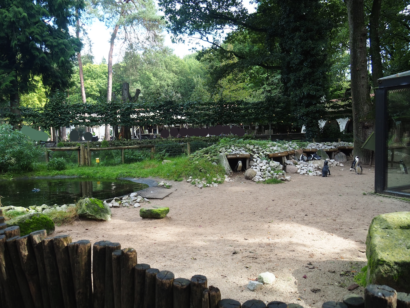African penguin exhibit - Nesting area, 2023-09-24
